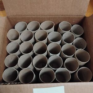 Craft Lot of 27 Empty Cardboard Toilet Paper Tubes